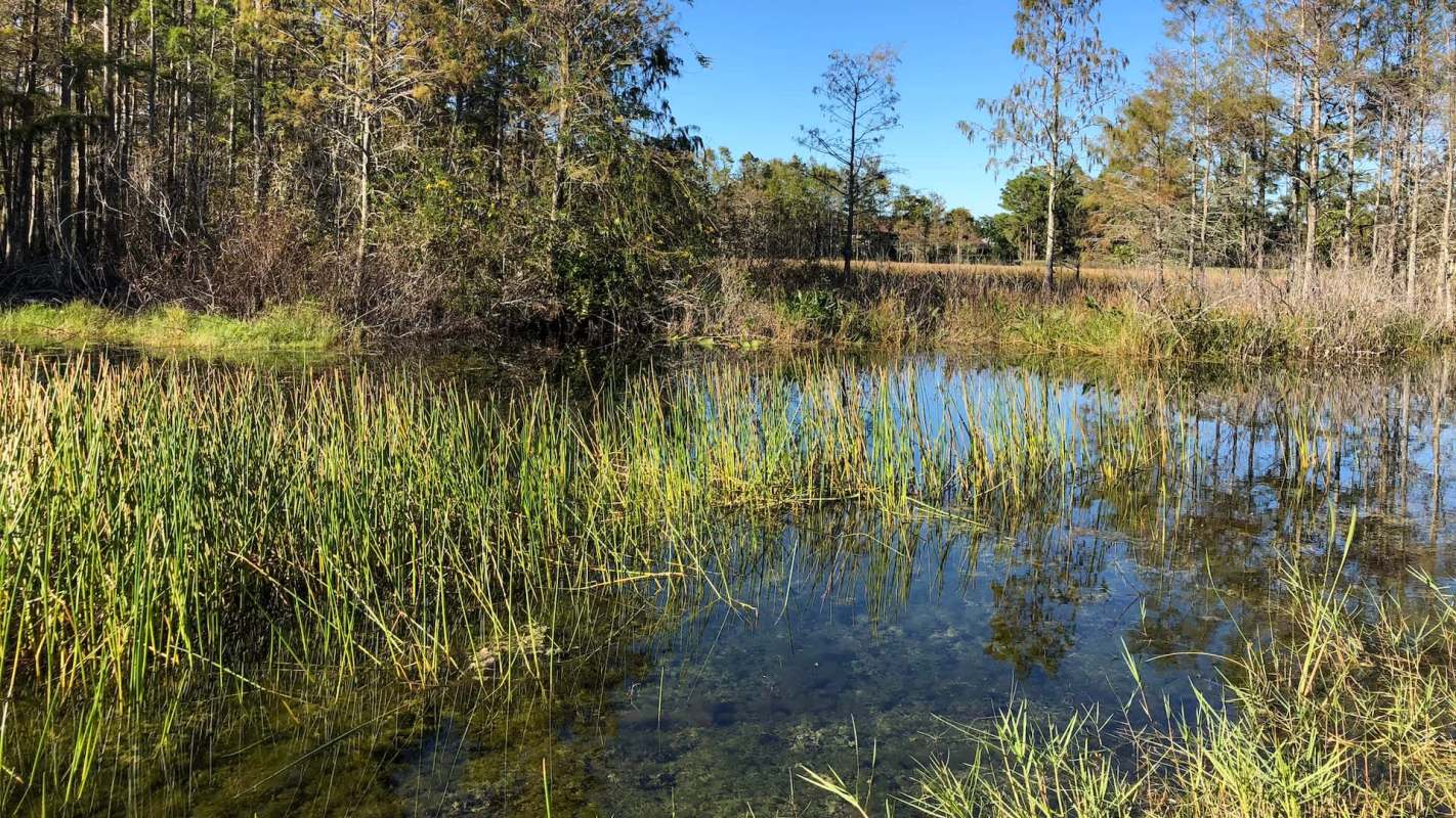 "We can breathe a heavy sigh of relief."