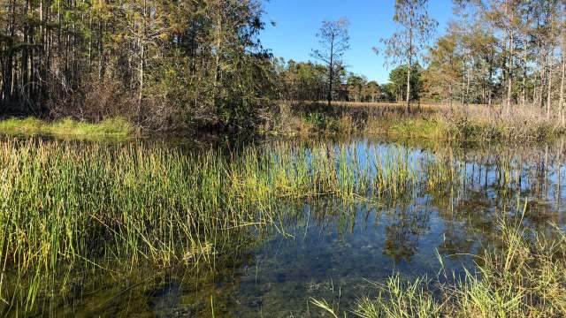 "We can breathe a heavy sigh of relief."