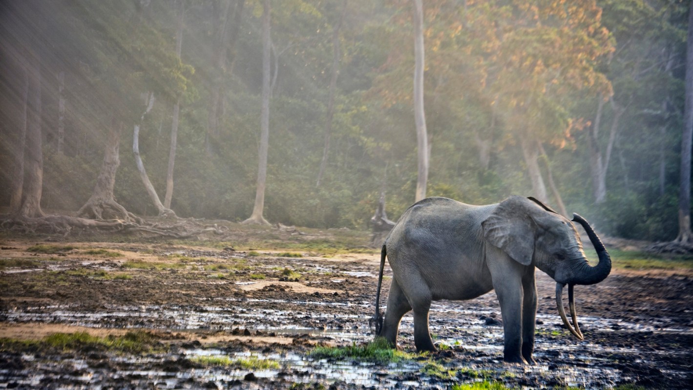 "We are really on the precipice."