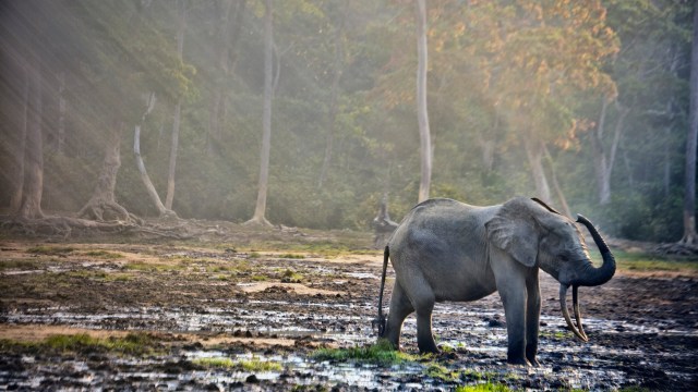 "We are really on the precipice."