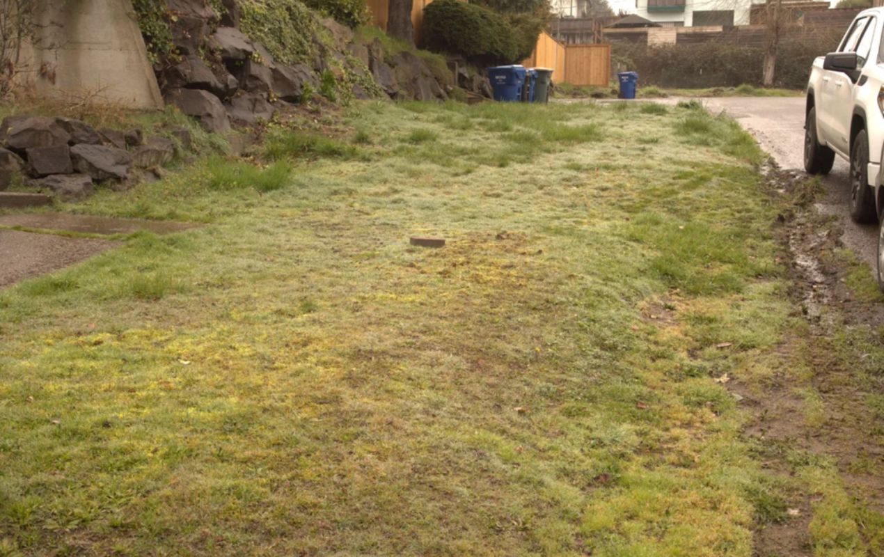 "Would love to see it in a rain shower."