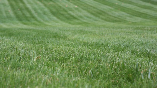 "This might be my next choice."