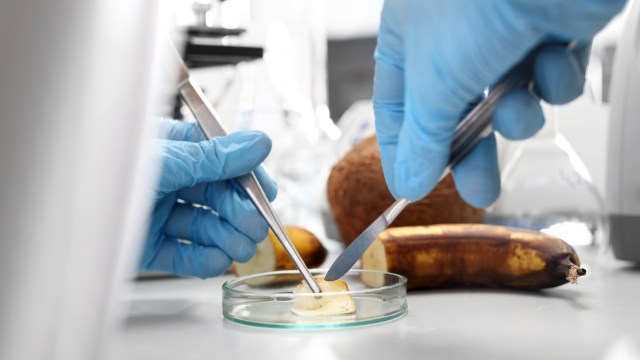 If research like this scales, the leftover food scraps in your fridge could someday help power industries instead of filling landfills.