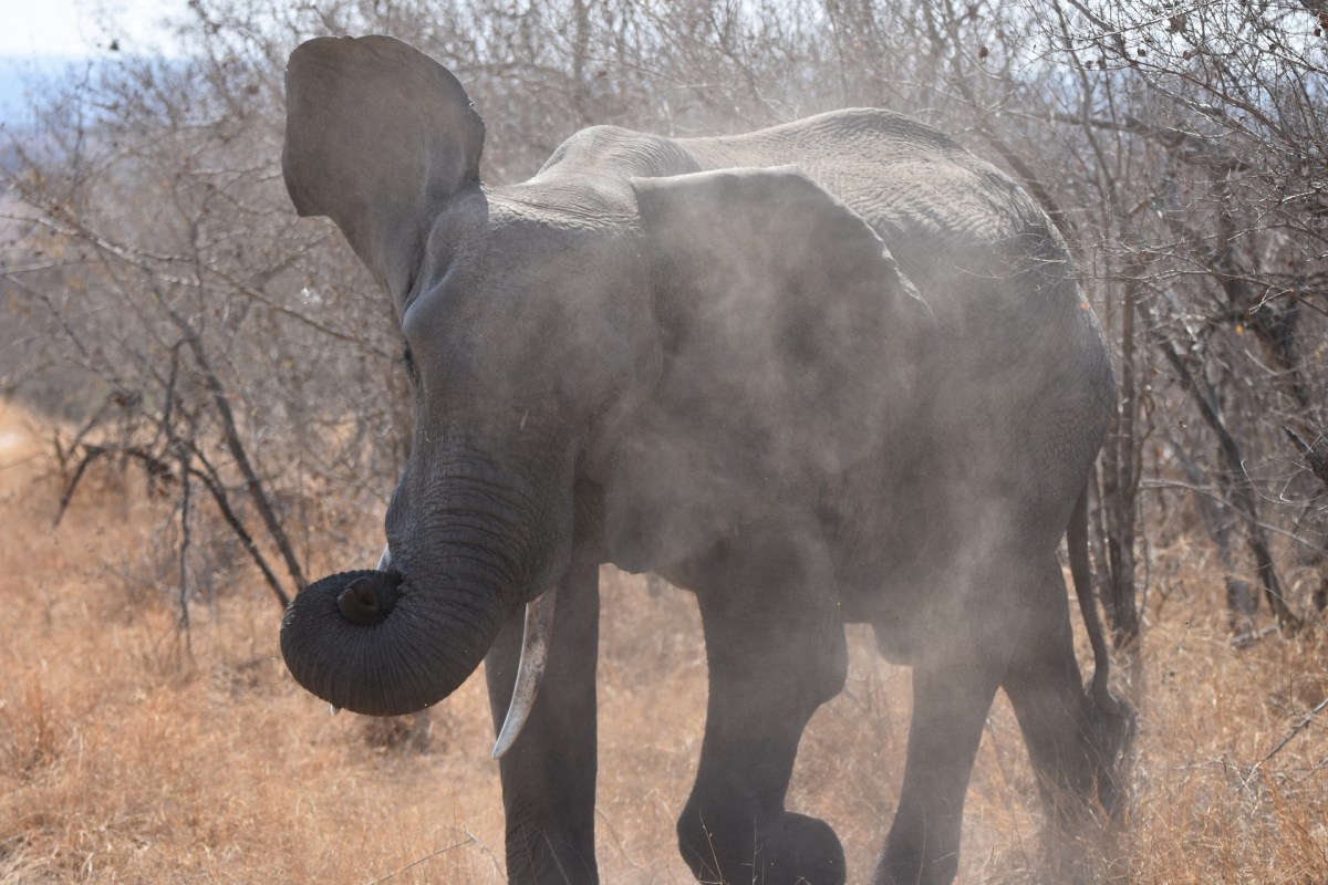 "Must be rigorously questioned."