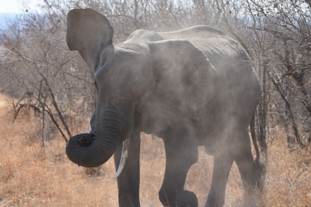 "Must be rigorously questioned."