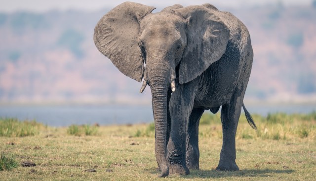 "He could have done so much more."