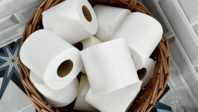 "I am so going to do this!"