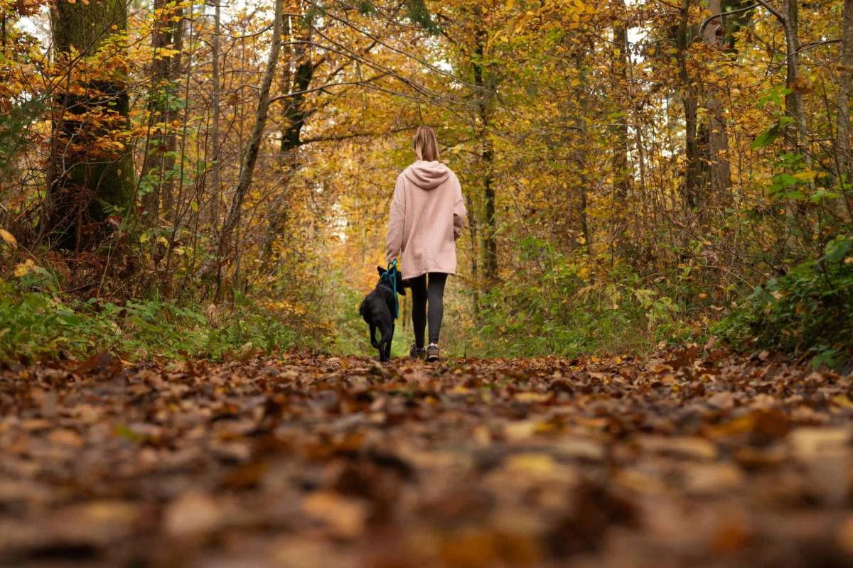 Incidents like this are often an indicator of a larger problem.