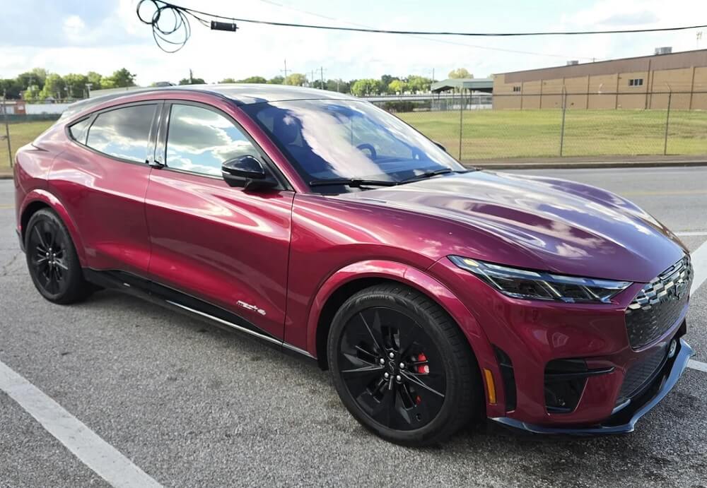 "She's an absolute beauty."