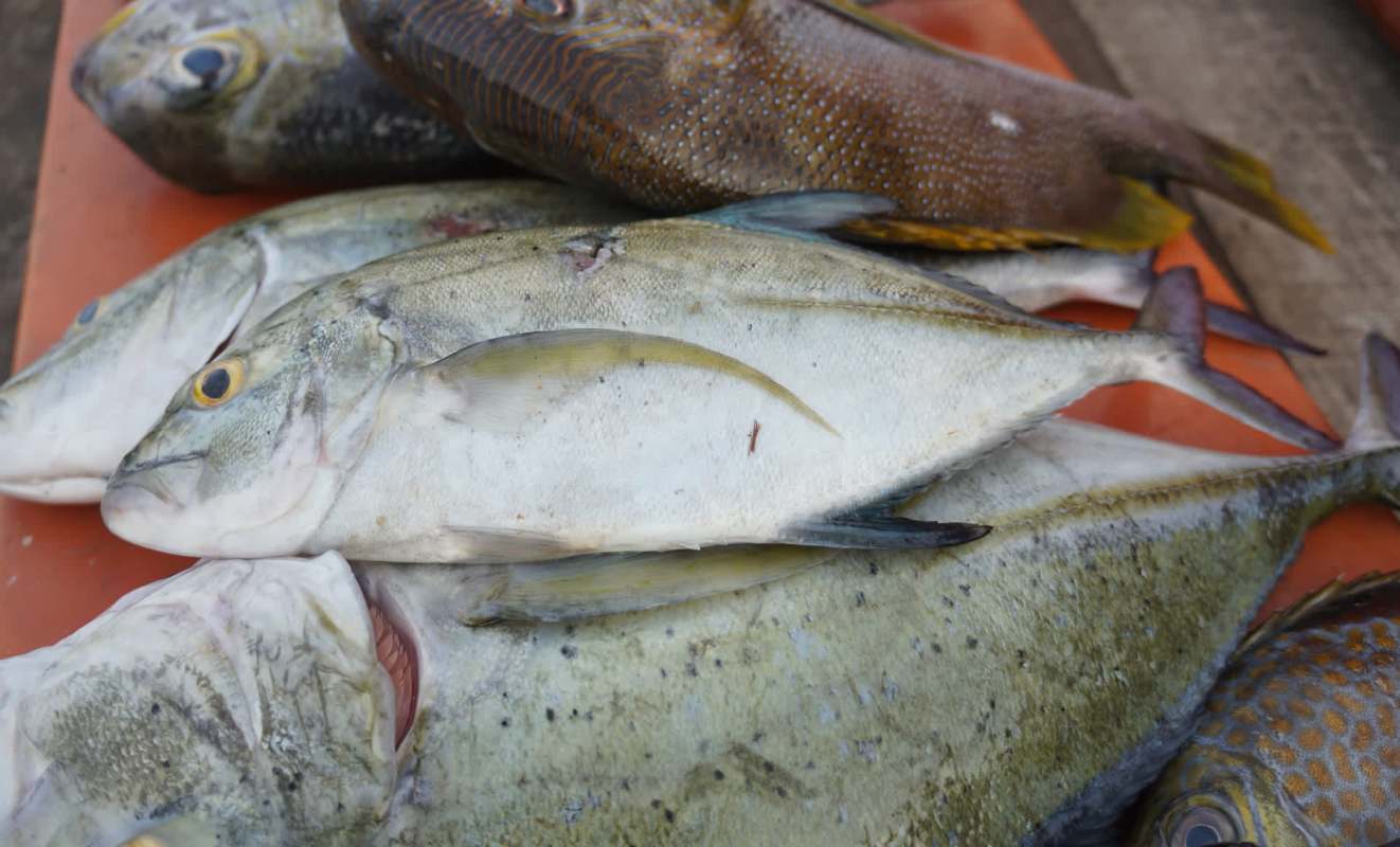 They are calling for expanded protections.