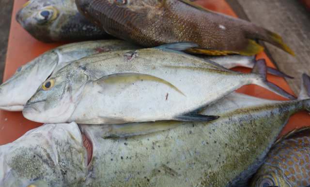 They are calling for expanded protections.