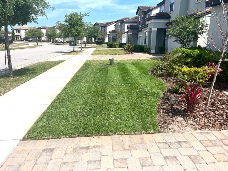 "My HOA has been singling me out as well."