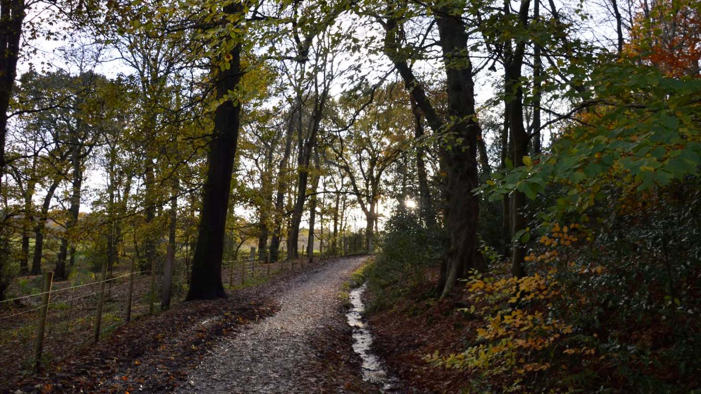 "I hope this sends a clear message."