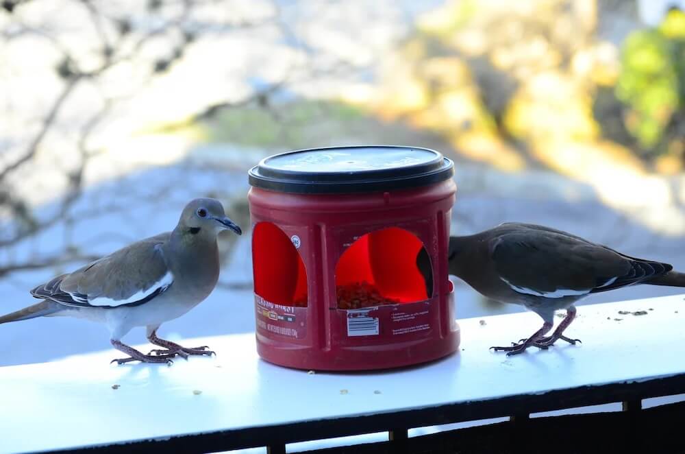 "Love it, great idea!"