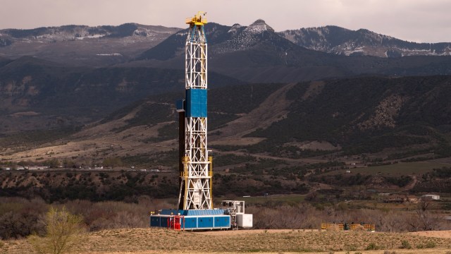 "She's very pragmatic in the way she approaches research."