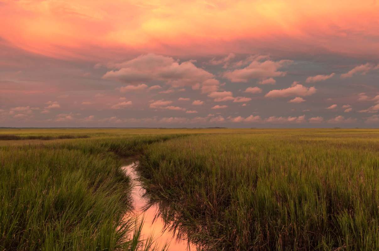 "Threaten the health of fisheries and their economic viability."