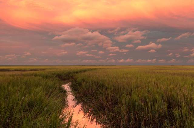 "Threaten the health of fisheries and their economic viability."