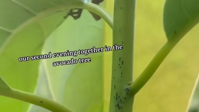 "You gotta name him!"