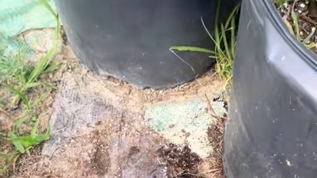 The video clearly struck a chord.