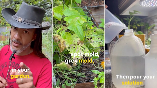 "Thanks for sharing!"