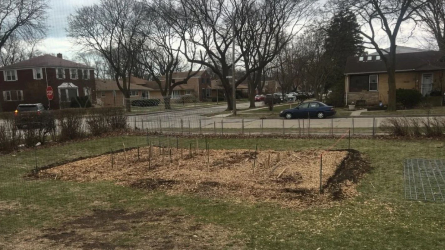 "That looks really awesome."