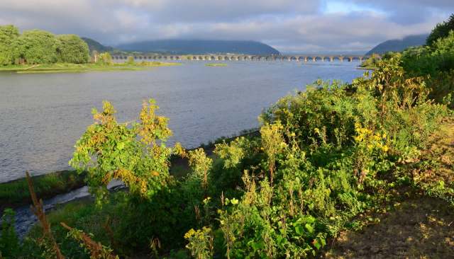 It had gone largely undetected.