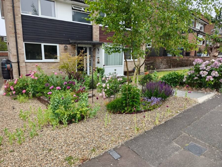 "Bravo on the work you have put in!"