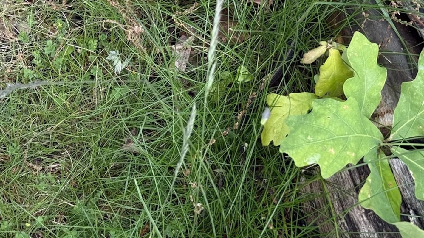 "That’s a nice one."