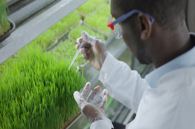 It could be a powerful tool to help get dinner on the table for families around the world.