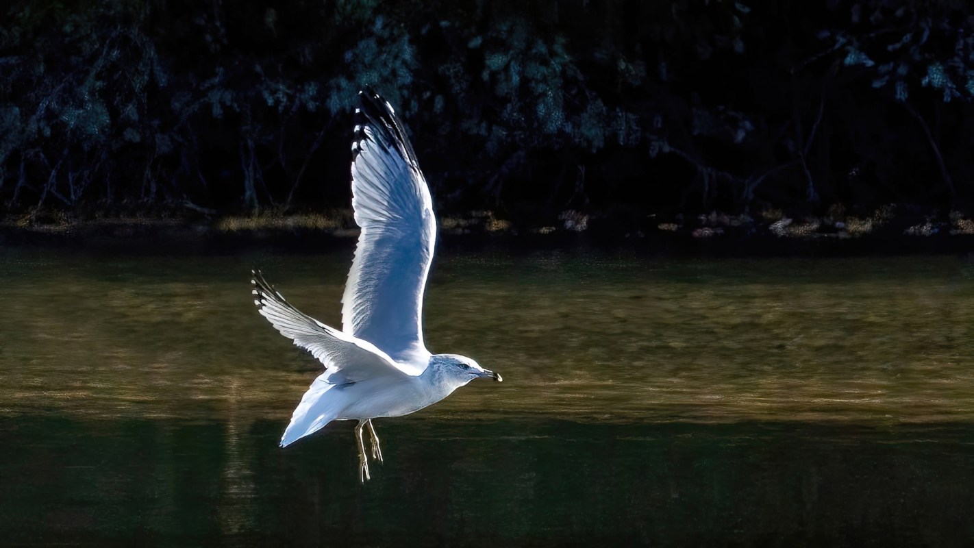 Advocates are working on solutions.