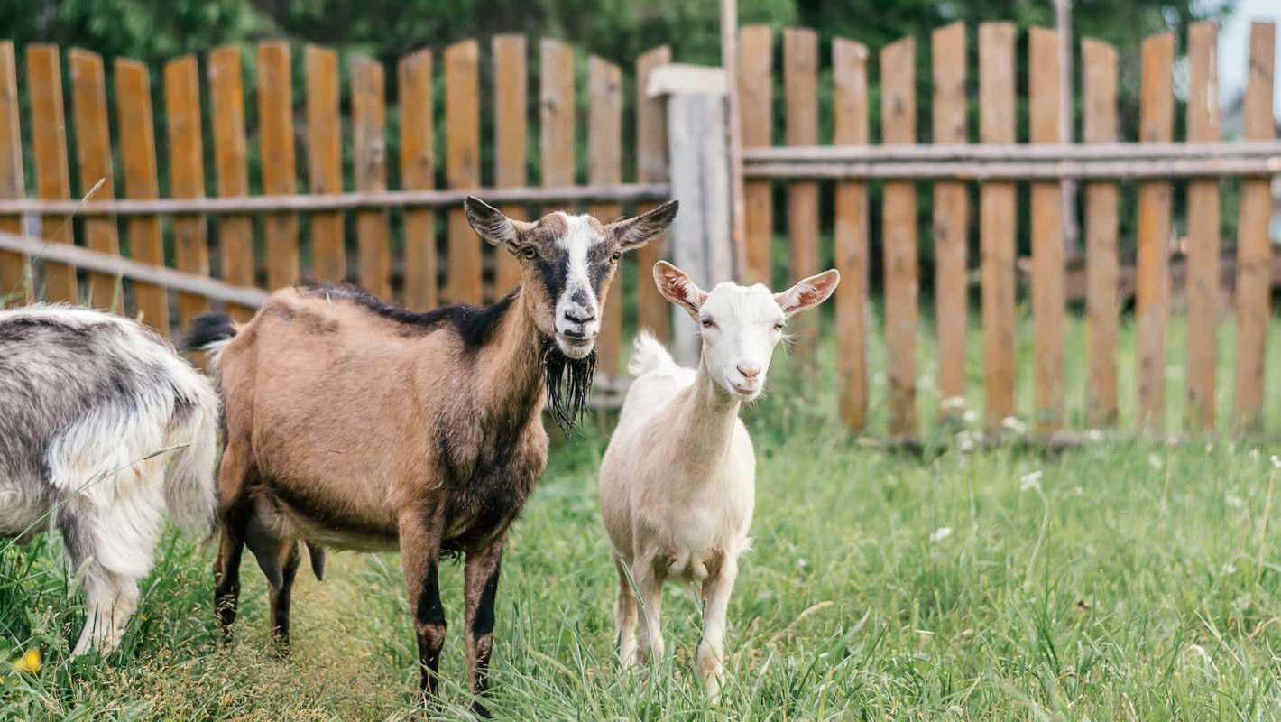 "God, I wish I lived my life with that kind of purpose."