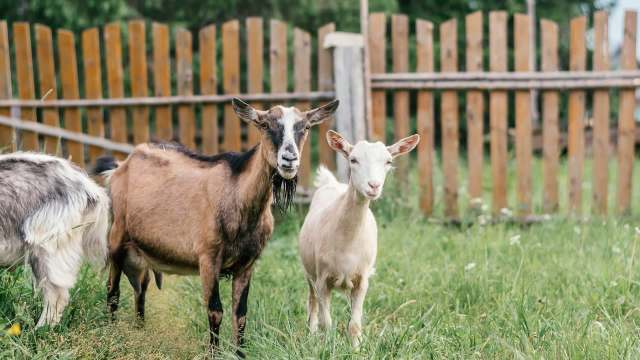 "God, I wish I lived my life with that kind of purpose."