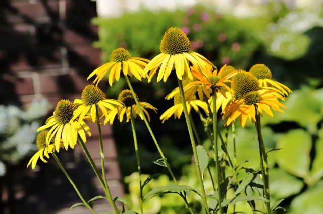 "I love watching them."