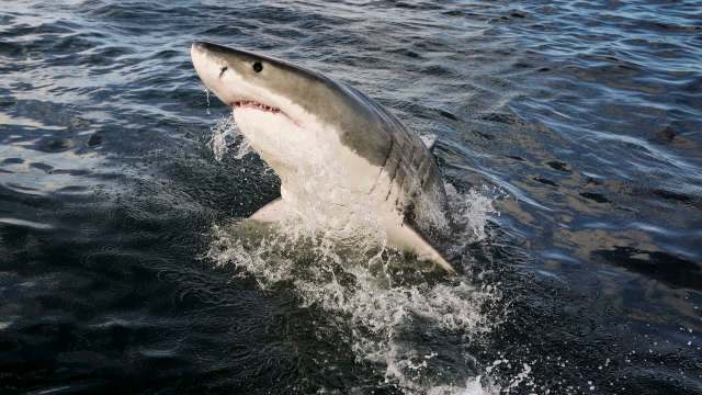 "It’s in the back of your head."