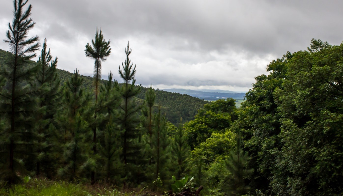 "This is not a Disney movie."