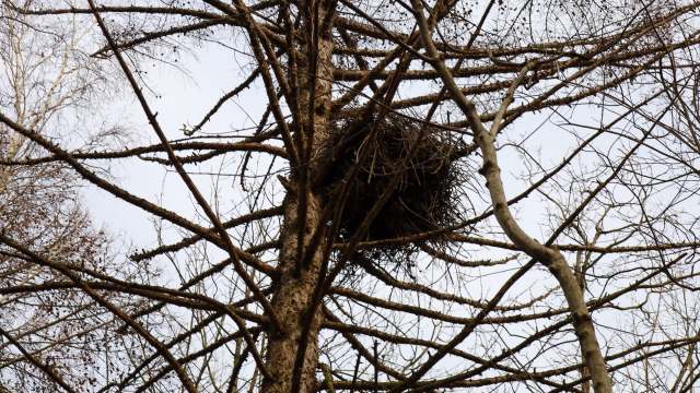 "We're optimistic he will be able to recover."