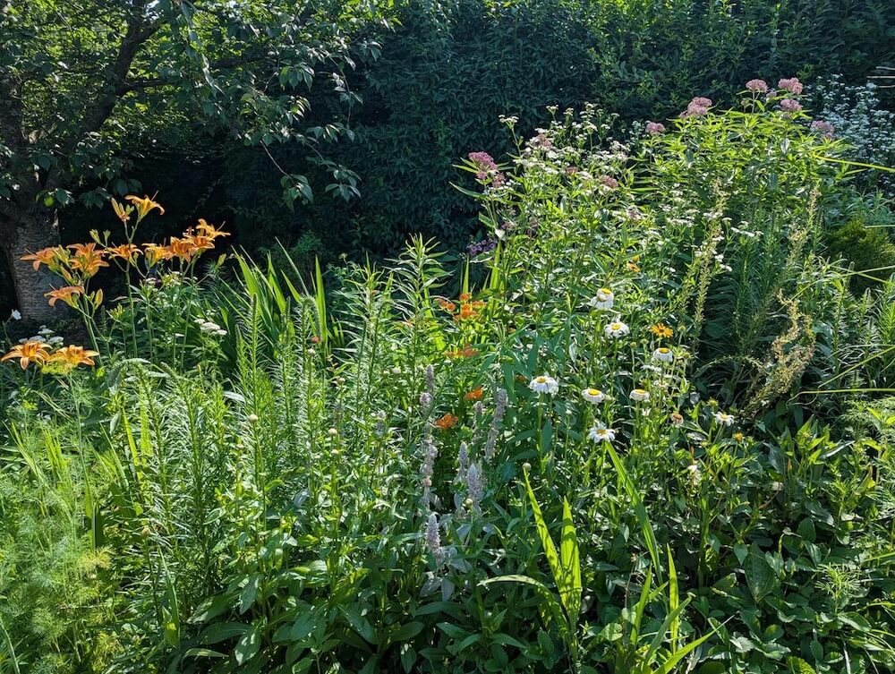 "Your community is lucky to have you!"