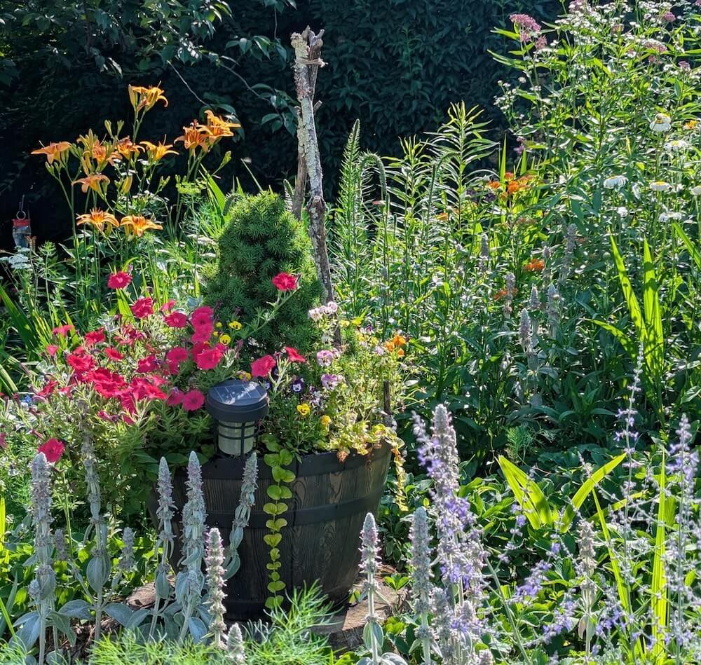 "Your community is lucky to have you!"