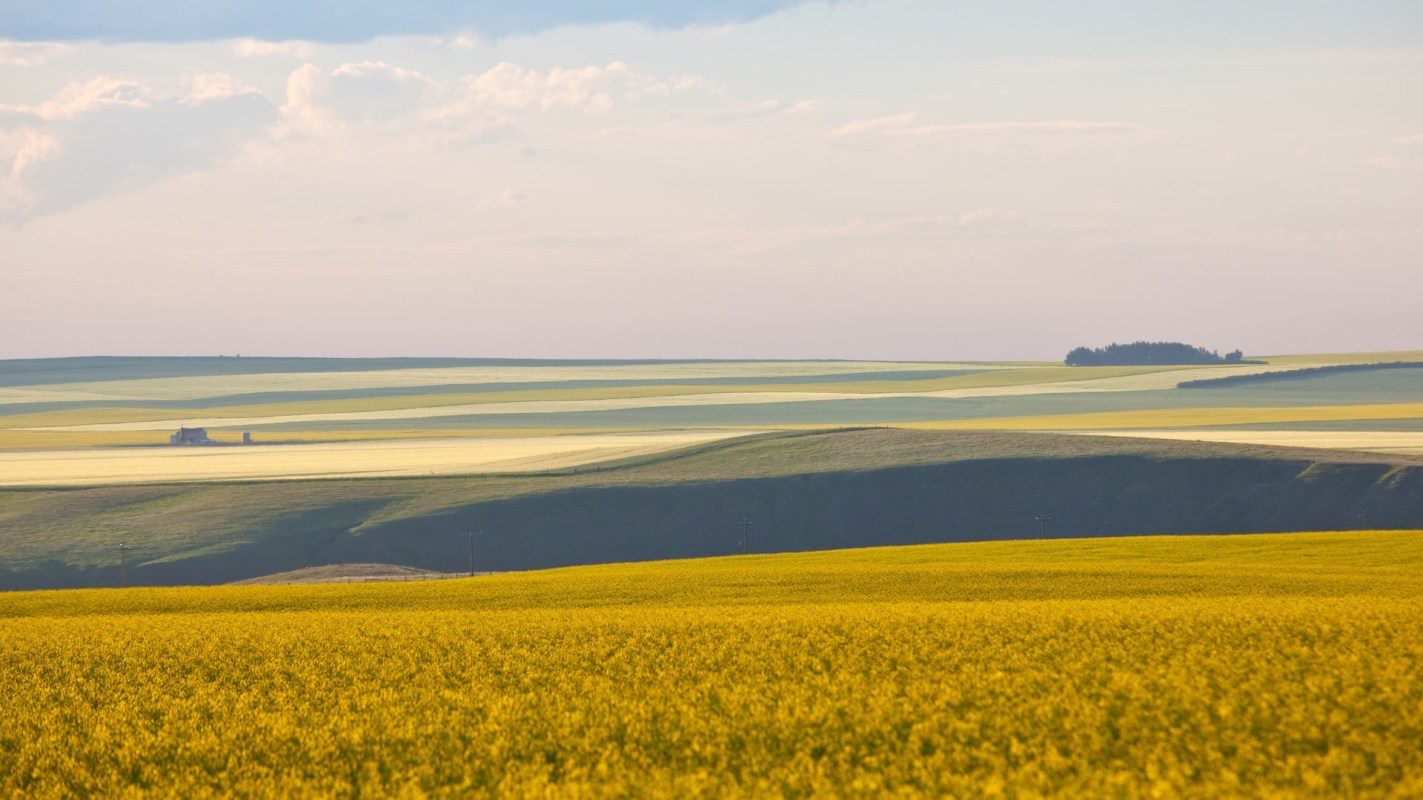 "There's no regrowth or recovery at that point."