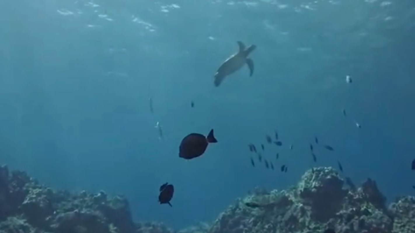 Commenters were outraged.