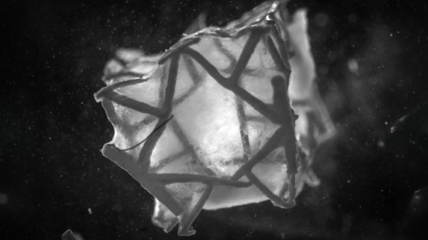 Initial results are heartening.