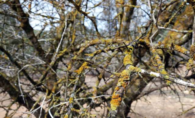 The state is tackling the problem with a two-part approach.