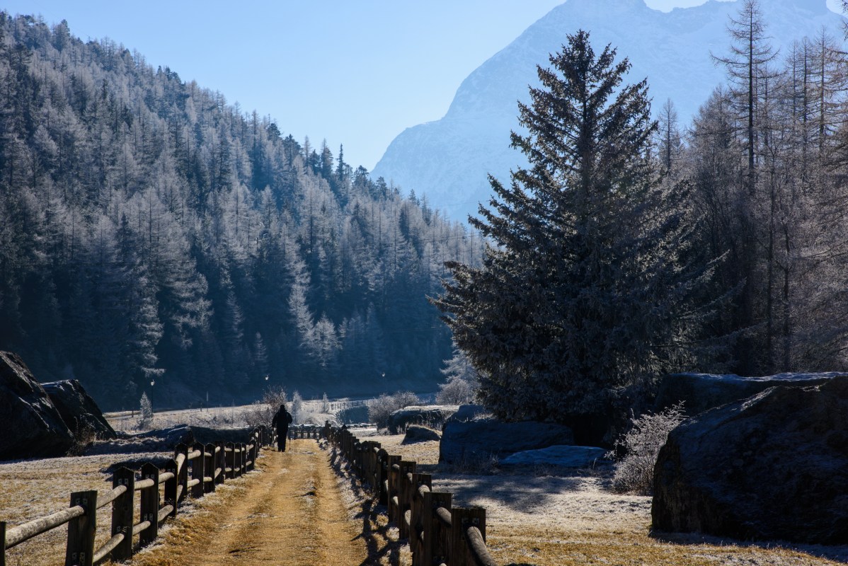 The Outdoor Participation Trends Report has been analyzing all things outdoor activities for 15 years, and this past year was a banner year.