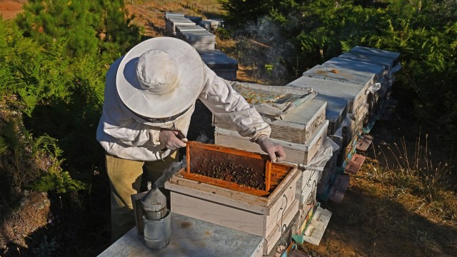 This was an unanticipated downturn.