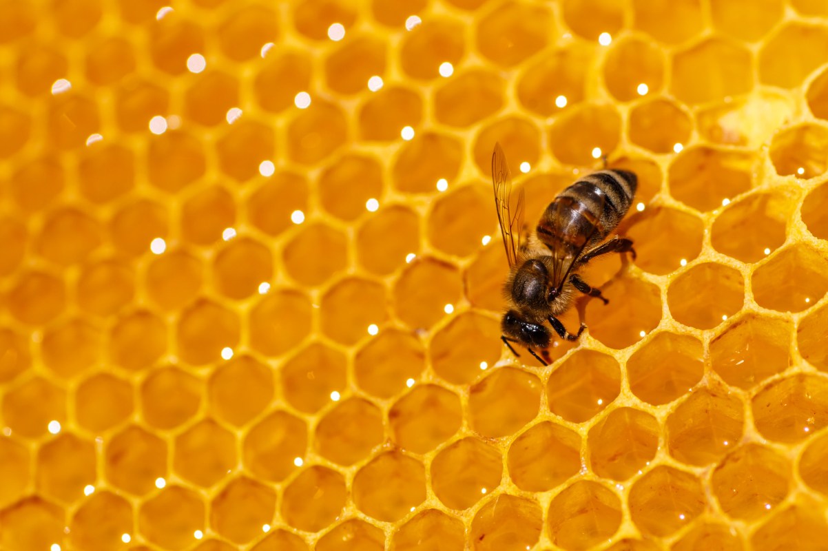 "One way to improve their resilience to these threats."