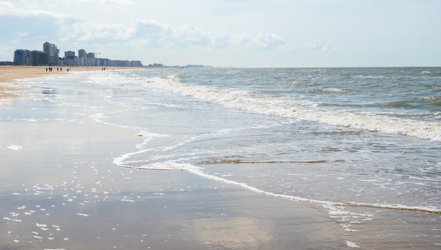 It's a sign of a larger issue.