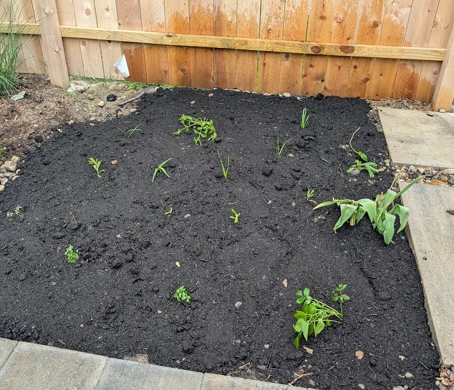 "They require so little and give so much!"