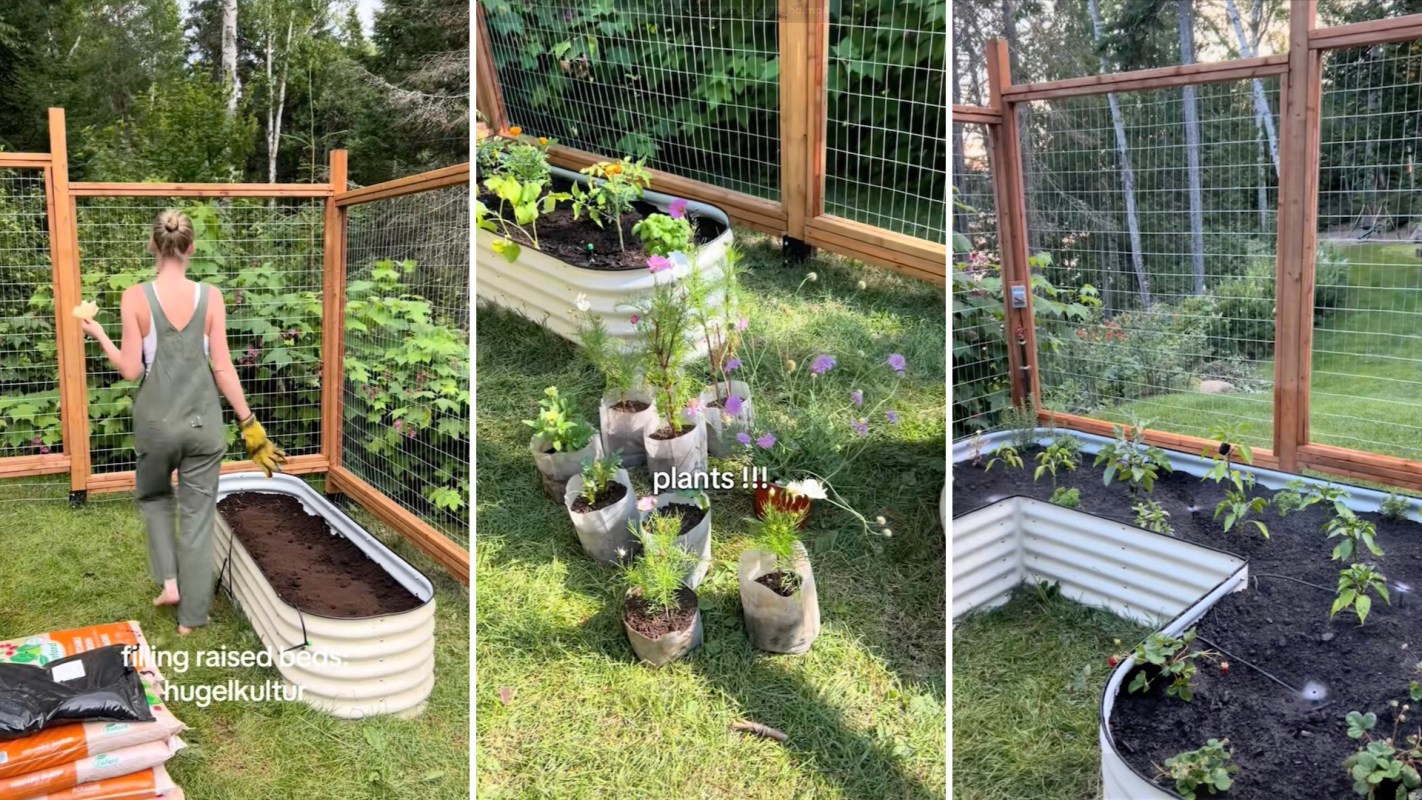 "Your plants look very happy with this method."