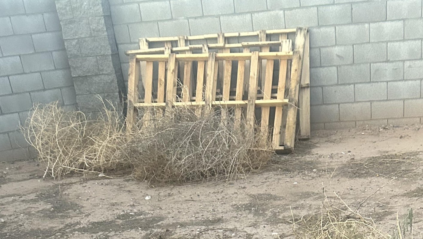 "It will disintegrate so fast."