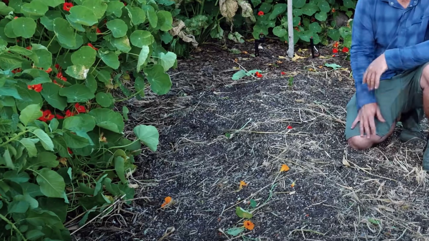 "The soil gets better and better every year."